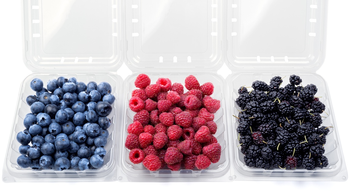 México fortalece su liderazgo en berries y proyecta crecimiento sostenido