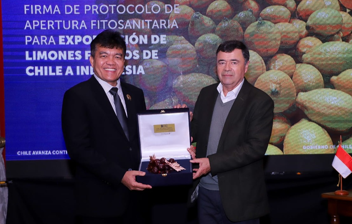 Chile exportará sus limones a Indonesia, países firmaron el protocolo fitosanitario