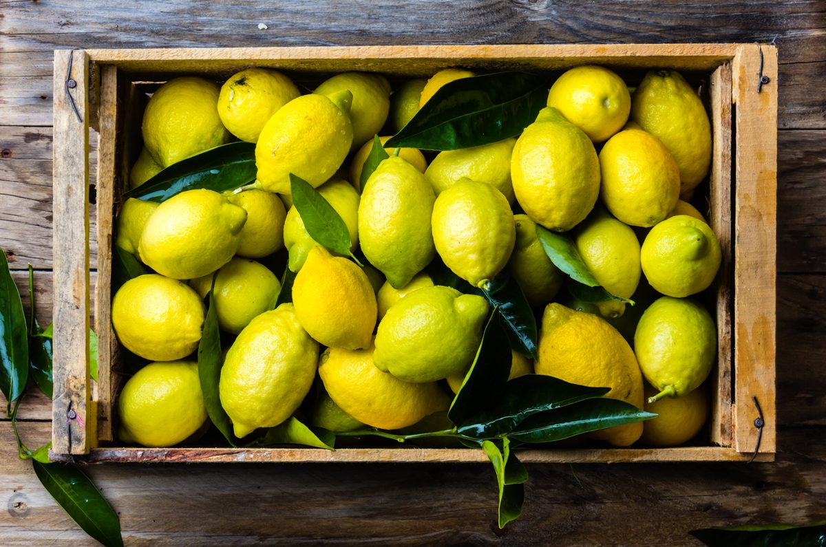 Producción de naranjas en Florida suma cinco meses consecutivos sin caídas