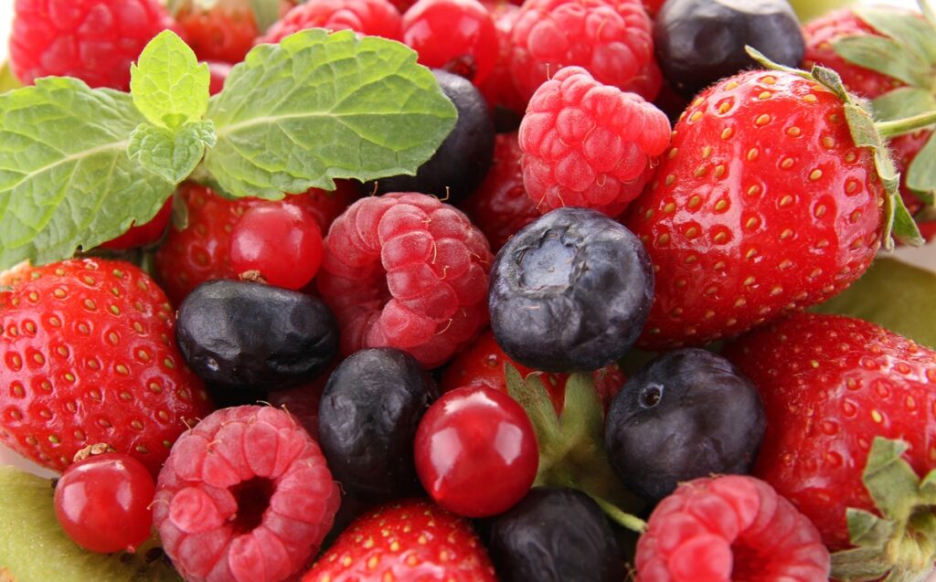 Mercado de berries en Estados Unidos muestra alta calidad en medio de fluctuaciones en la oferta Mercado de berries en Estados Unidos muestra alta calidad en medio de fluctuaciones en la oferta