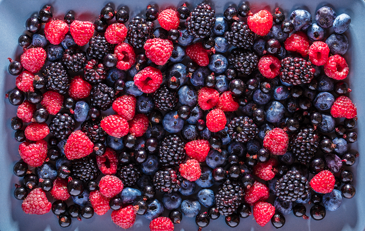 México fortalece su liderazgo en berries y proyecta crecimiento sostenido