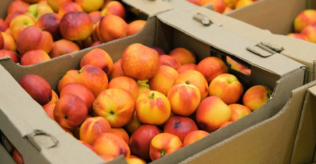 Duraznos y nectarinas: ¿qué países lideran el consumo y exportación en América Latina? Duraznos y nectarinas: ¿qué países lideran el consumo y exportación en América Latina?