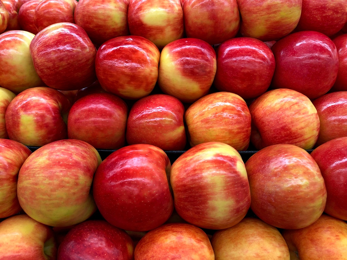 Manzana Honeycrisp en Estados Unidos: precios altos y poca oferta, pero el alivio llega en agosto 3 Escasez de manzana Honeycrisp en Estados Unidos podría acabar pronto