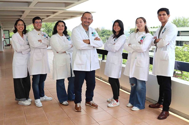 México patenta bioinsumo natural que combate la Sigatoka negra