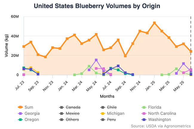 Mercado de berries en Estados Unidos muestra alta calidad en medio de fluctuaciones en la oferta