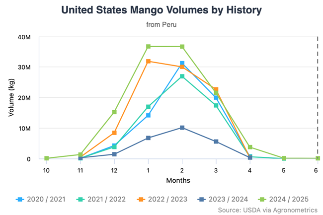 La escasez de mango peruano podría elevar los precios en EE.UU. este otoño