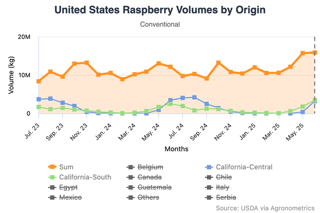 Mercado de berries en Estados Unidos muestra alta calidad en medio de fluctuaciones en la oferta
