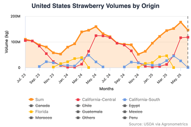 Mercado de berries en Estados Unidos muestra alta calidad en medio de fluctuaciones en la oferta