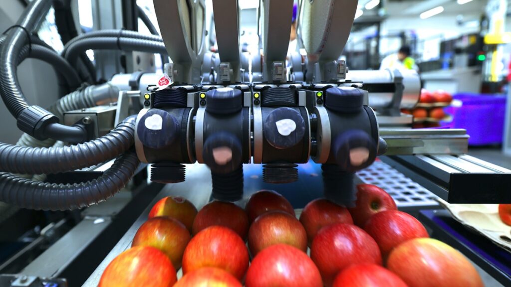 Por qué las etiquetas compostables son la clave hacia un envasado sostenible en frutas y hortalizas, según Sinclair Por qué las etiquetas compostables son la clave hacia un envasado sostenible en frutas y hortalizas, según Sinclair