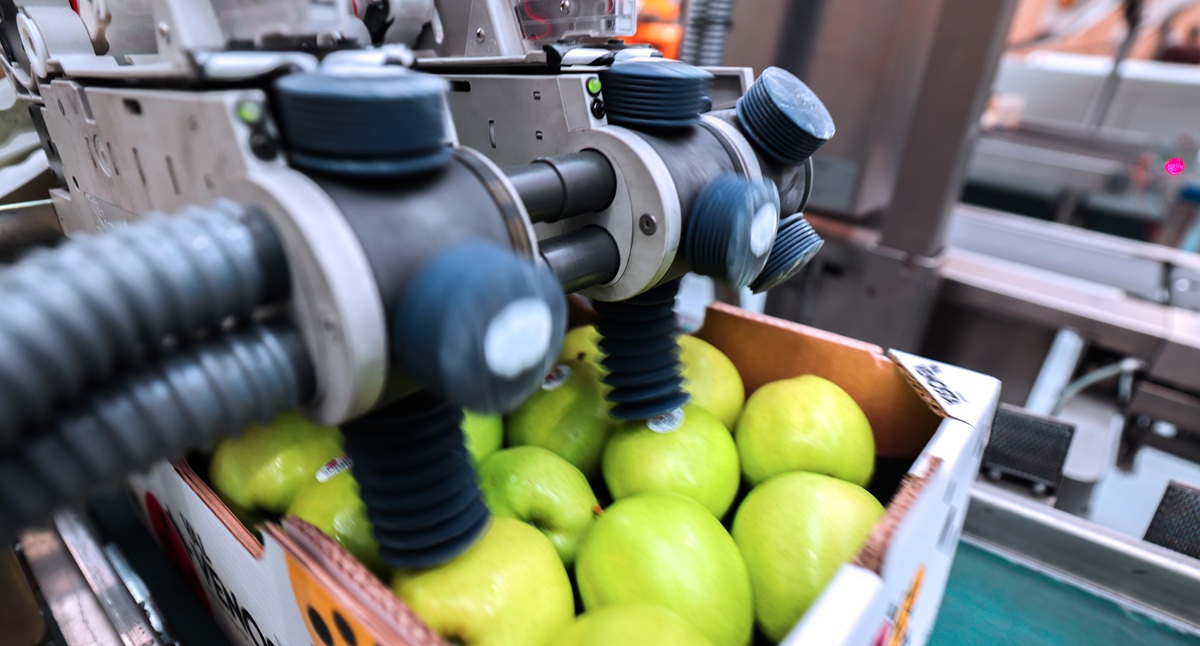 Por qué las etiquetas compostables son la clave hacia un envasado sostenible en frutas y hortalizas, según Sinclair 3 Por qué las etiquetas compostables son la clave hacia un envasado sostenible en frutas y hortalizas