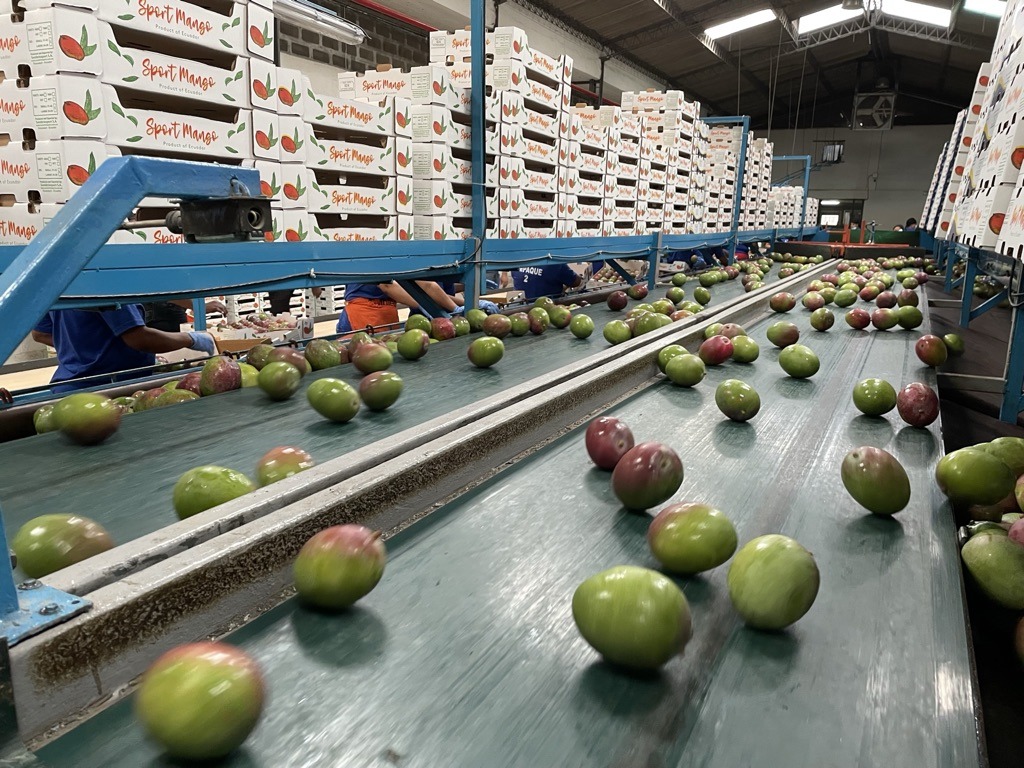 Akorn Technology llega a Brasil con soluciones postcosecha naturales para frutas de exportación