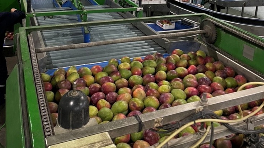 Akorn Technology llega a Brasil con soluciones postcosecha naturales para frutas de exportación