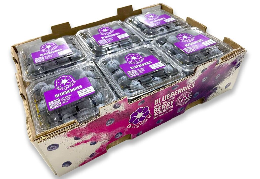 Grupo Agroberries lanza BerryWorld Asia y refuerza su apuesta por el mercado asiático Grupo Agroberries lanza BerryWorld Asia y refuerza su apuesta por el mercado asiático