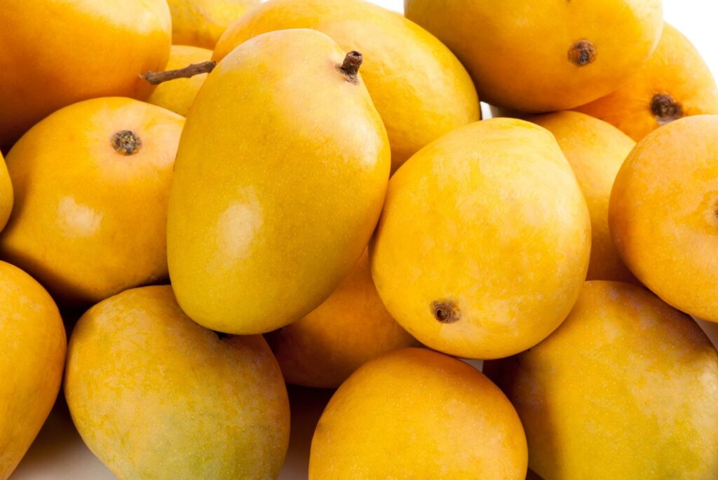Mangos frescos impulsan exportaciones peruanas a Francia; arándanos y paltas muestran alto potencial