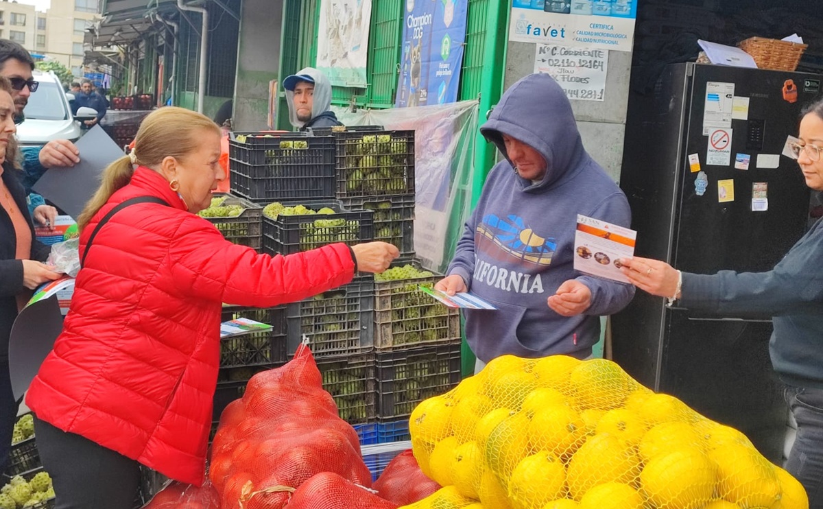 Gremios chilenos exigen acciones inmediatas para enfrentar la mosca de la fruta