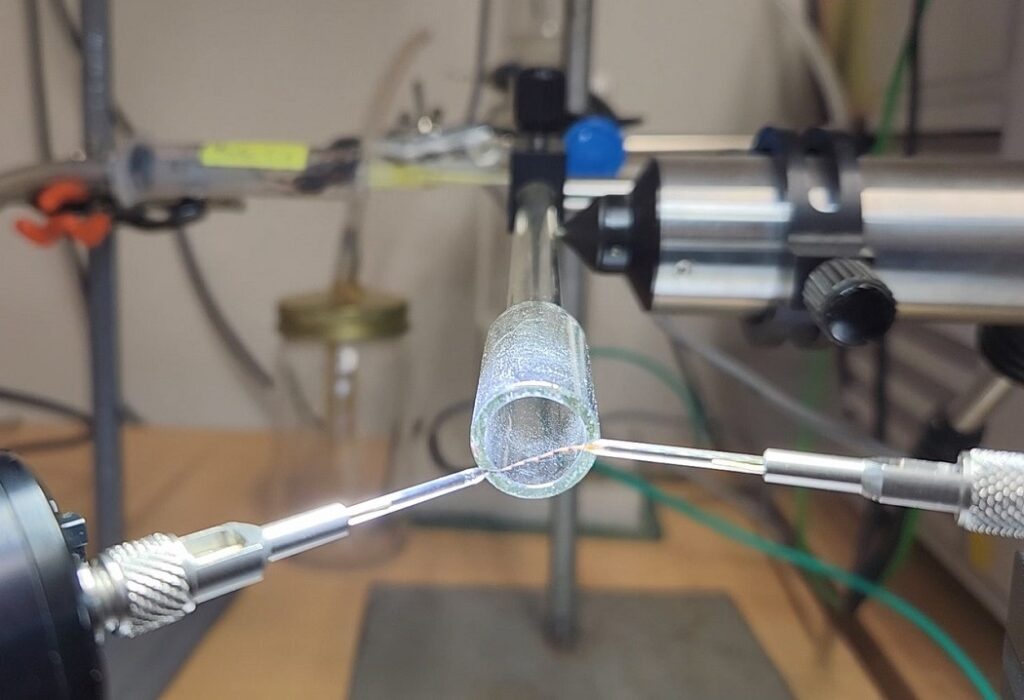 ecología química