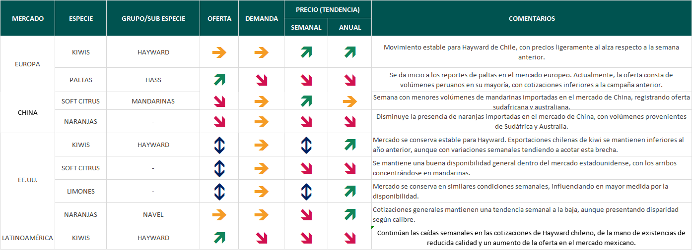 Estado del Mercado, semana 32: movimiento estable para el kiwi Hayward de Chile en Europa 5 Estado del mercado semana 32