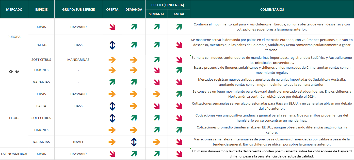 Estado del Mercado, semana 35: envíos chilenos de Navel se ubican por sobre la campaña anterior en EE.UU.