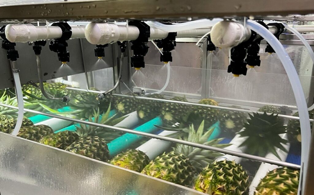 ProDOSE™ revoluciona el encerado de piña fresca con tecnología automatizada ProDOSE™ revoluciona el encerado de piña fresca con tecnología automatizada