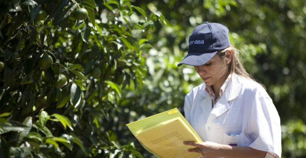 Argentina refuerza su estrategia contra el HLB con un nuevo plan fitosanitario Argentina refuerza su estrategia contra el HLB con un nuevo plan fitosanitario