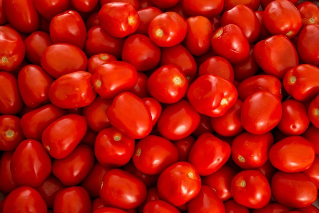 Comienzan a regir precios mínimos de exportación para el tomate fresco mexicano tras fin de acuerdo con EE.UU.
