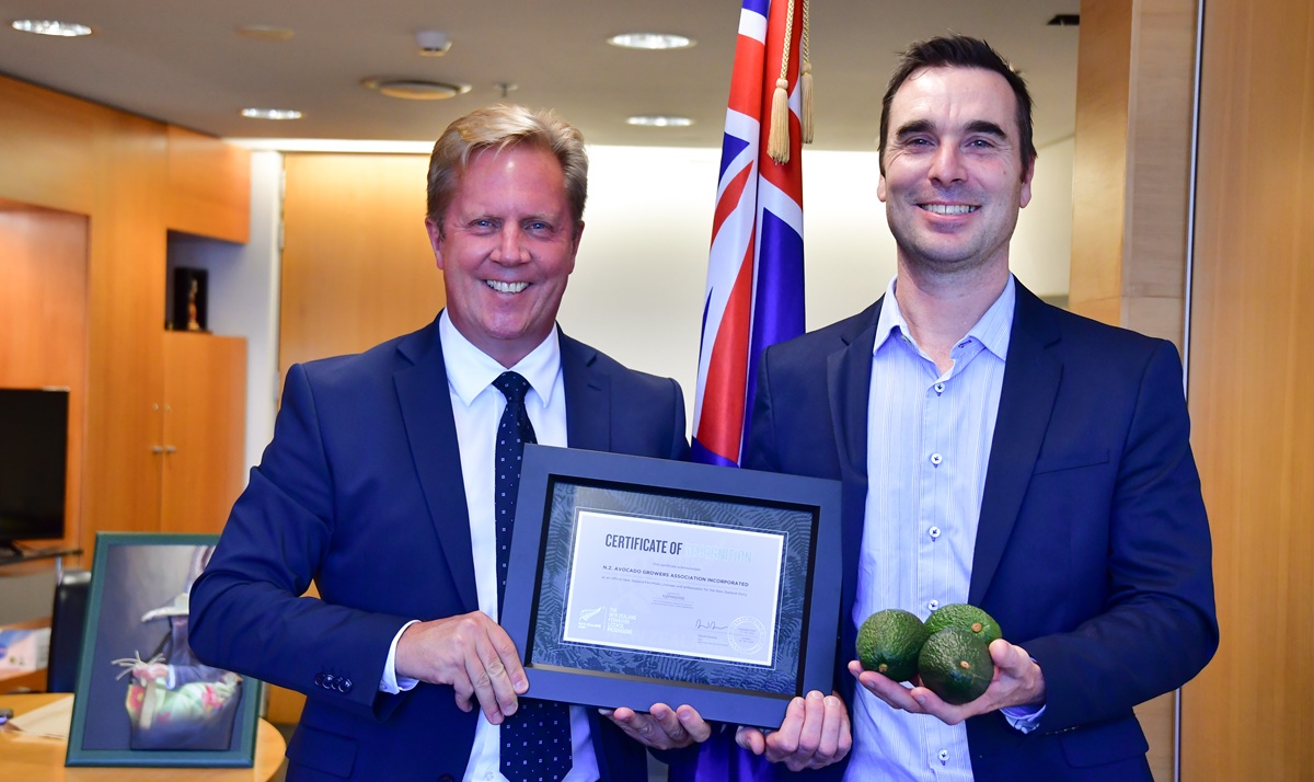 Aguacates de Nueva Zelanda obtienen sello de origen FernMark en alianza histórica para la exportación