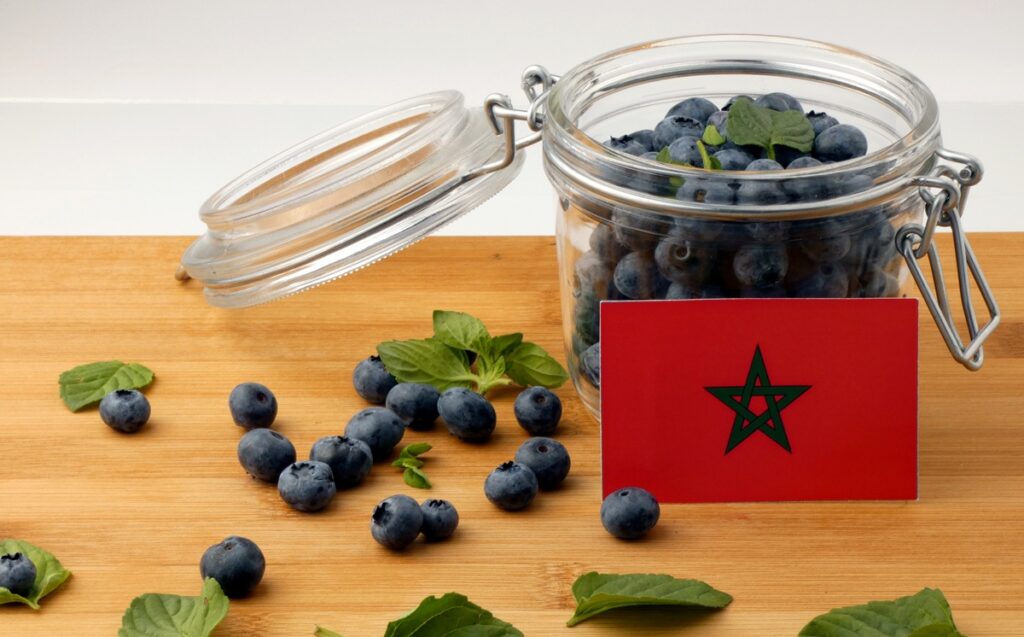 Marruecos se consolida como uno de los cinco mayores exportadores de arándanos del mundo