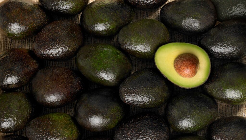 La Hass Avocado Board apuesta por la investigación nutricional en su nuevo plan estratégico La Hass Avocado Board apuesta por la investigación nutricional en su nuevo plan estratégico