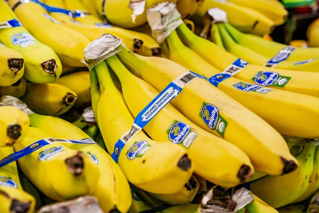 Gobierno panameño autoriza al ministro de Comercio facilitar el regreso de Chiquita a Bocas del Toro Gobierno panameño autoriza al ministro de Comercio facilitar el regreso de Chiquita a Bocas del Toro