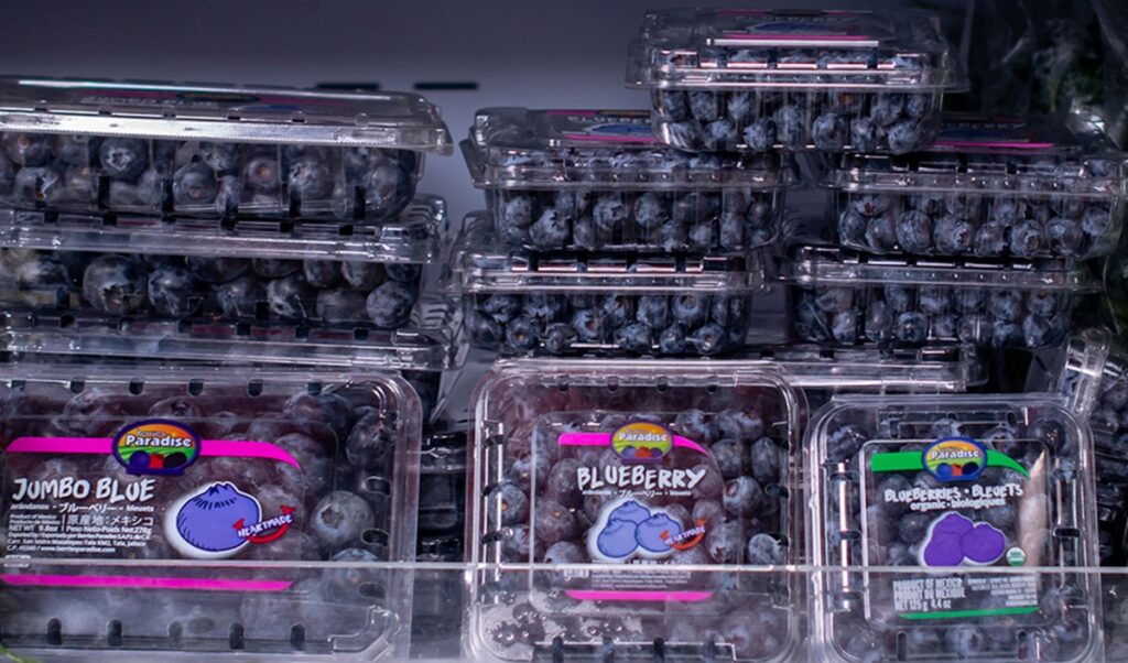 Berries Paradise inaugura nueva etapa con sede en Texas y expansión en Norteamérica Berries Paradise inaugura nueva etapa con sede en Texas y expansión en Norteamérica
