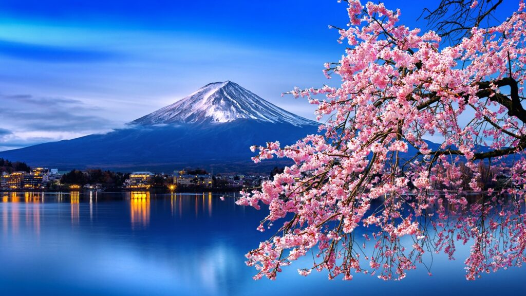 Cerezas frescas en Japón: caída de producción nacional y perspectivas de consumo 2025/26