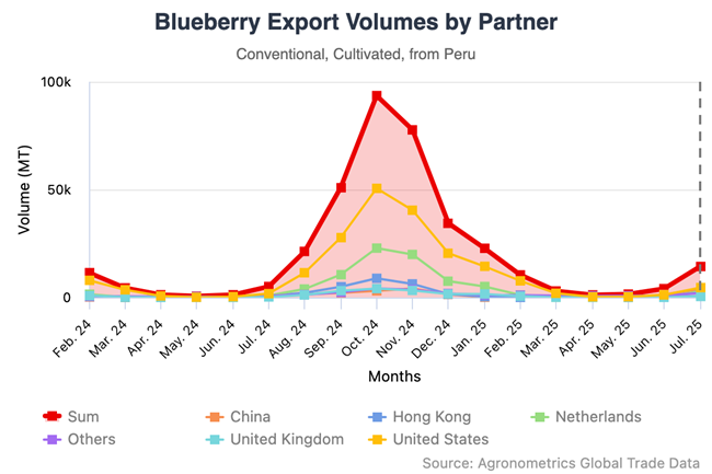 Exportaciones de arándanos peruanos se disparan, respaldadas por nuevas variedades y expansión de mercados