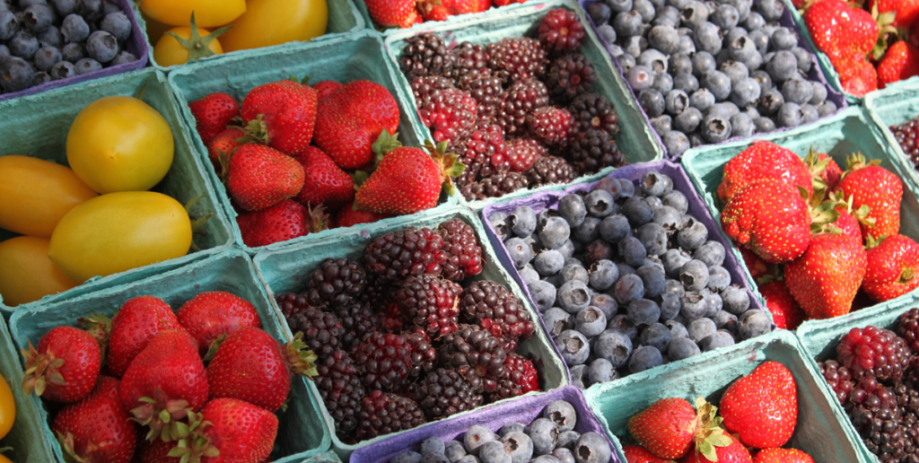 Exportar fruta en 2026: cuando la logística deja de ser soporte y se transforma en estrategia