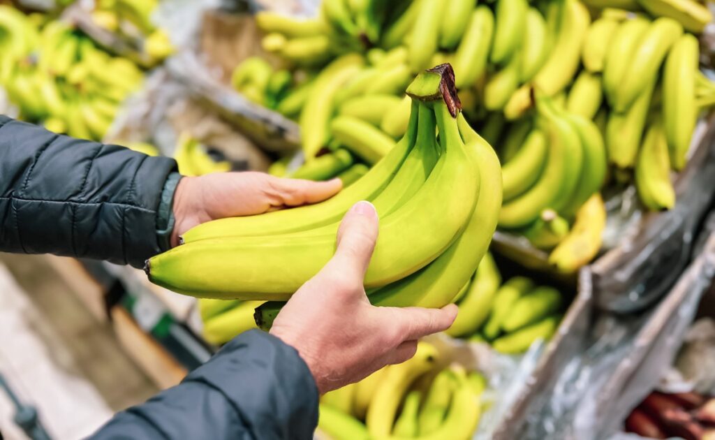 Banano de Ecuador podría volver a Brasil tras años de suspensión Banano de Ecuador podría volver a Brasil tras años de suspensión