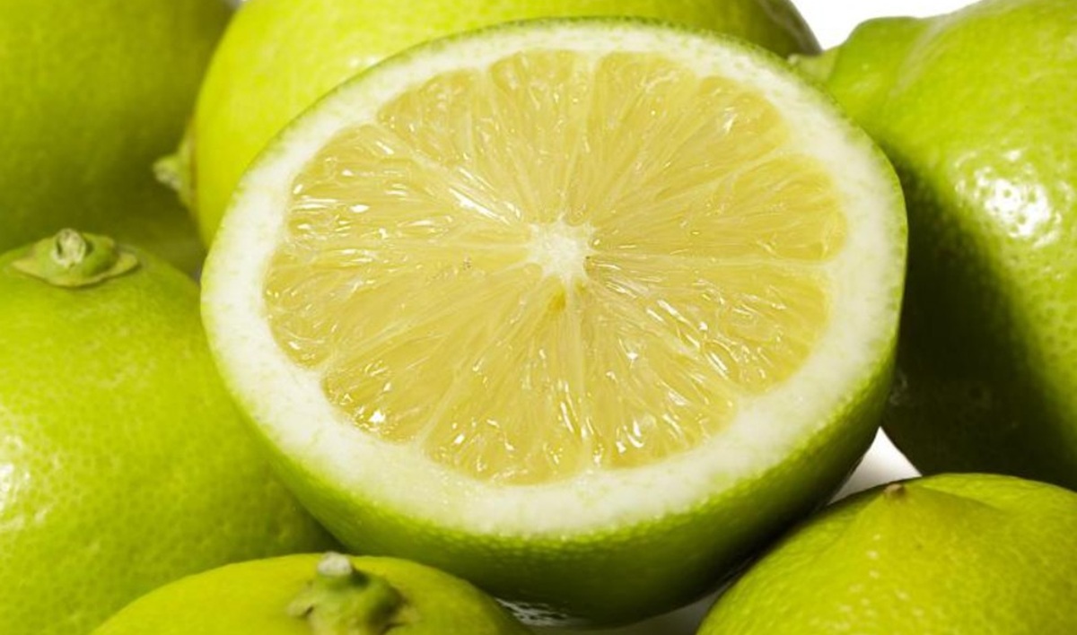 Benjamín Andes, la variedad chilena de limón que conquista mercados como Estados Unidos, Australia, España y Turquía