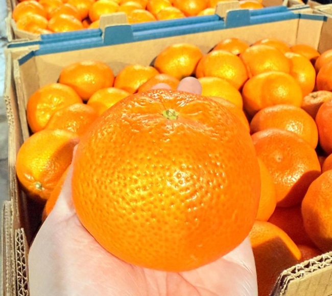 En un paso histórico, mandarina Tango de Ecuador llega con éxito en Estados Unidos