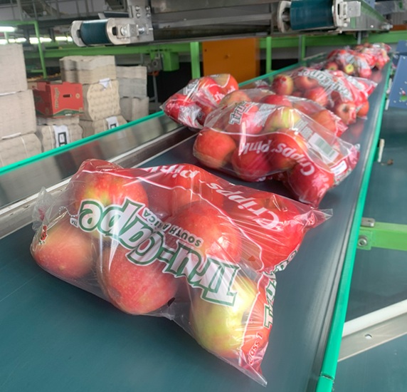 Millonarias pérdidas enfrentan manzanas y peras de Sudáfrica por ineficiencias en el Puerto de Ciudad del Cabo