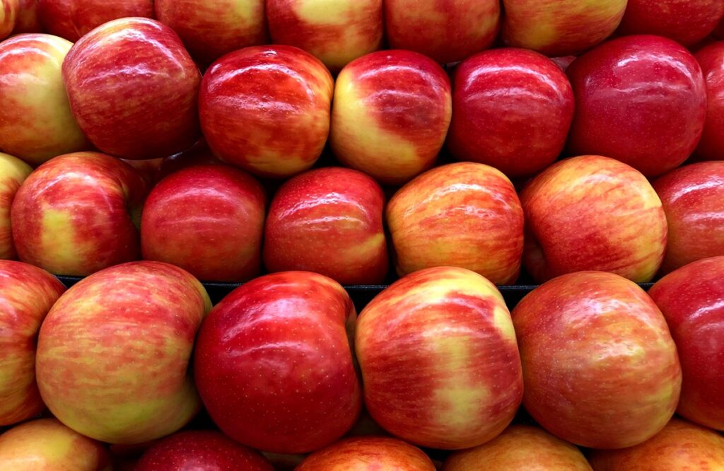 Cosecha 2025 de manzanas de Washington en camino a igualar récord, pero persisten los problemas de mano de obra