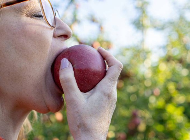 Temporada de manzanas 2025 en Estados Unidos llega con fuerza: grandes cosechas y grandes desafíos