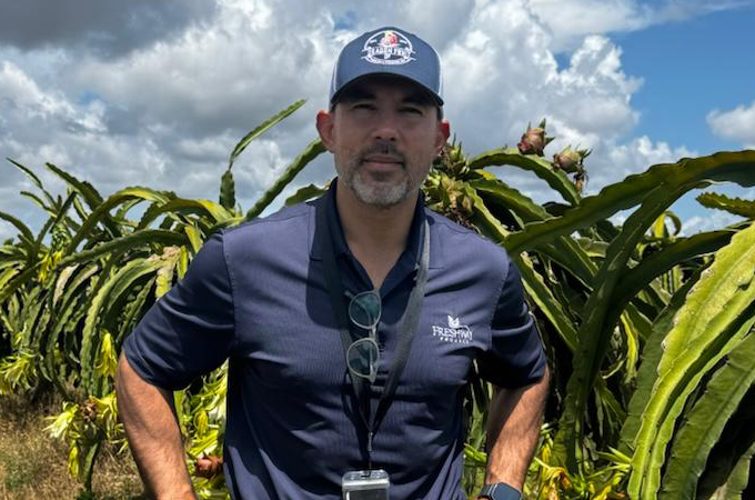 Producción de pitahaya en Florida crece con fuerza en 2025