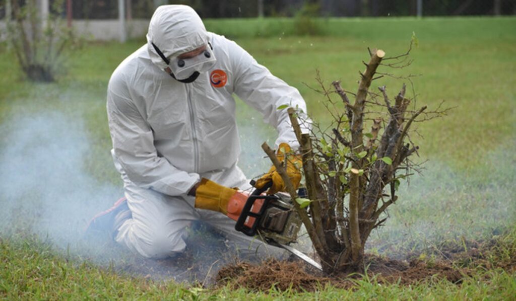 México y Estados Unidos refuerzan medidas fitosanitarias para preservar citricultura en franja fronteriza