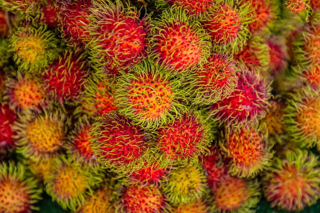 El 92% de los vegetales frescos de Costa Rica cumplen con los límites de residuos de plaguicidas