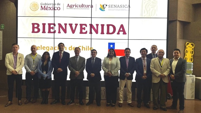 Chile y México trabajan en ampliación del Systems Approach en uva y apertura para las naranjas 5 Chile y México trabajan en extensión del Systems Approach y apertura para las naranjas