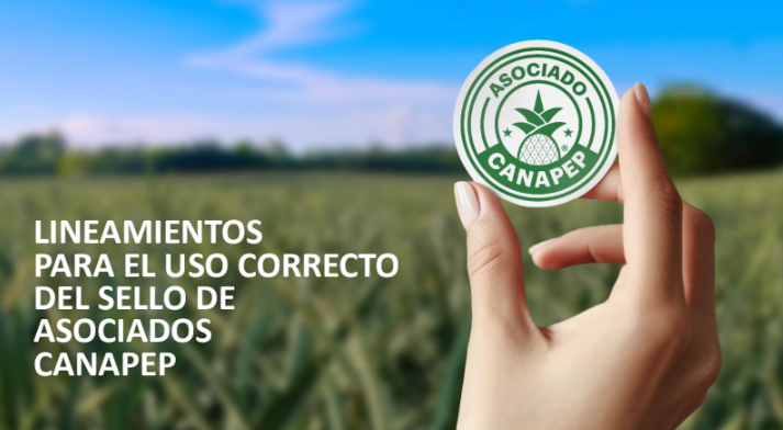 Costa Rica lanza sello de sostenibilidad para la piña y refuerza su liderazgo mundial
