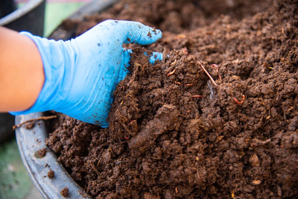 fertilizantes orgánicos