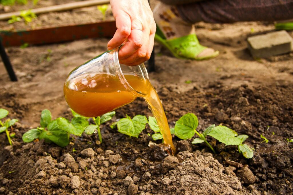 fertilizantes orgánicos