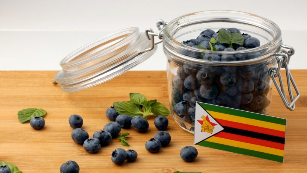 Por primera vez, los arándanos de Zimbabue podrán exportarse al mercado chino