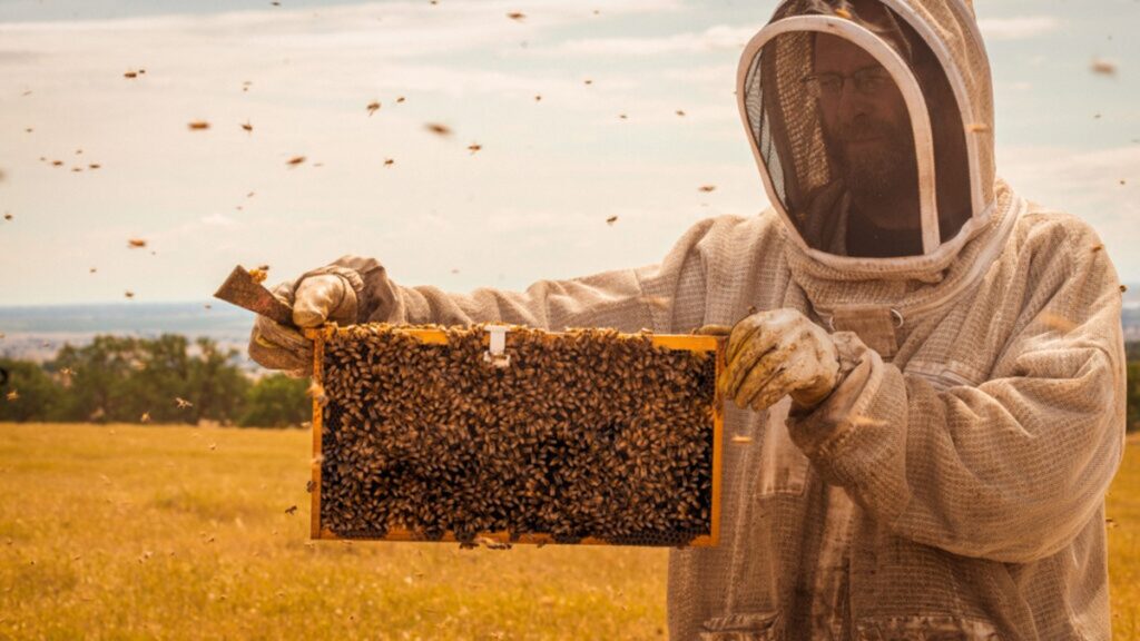 Yuval Regev de BeeHero: 