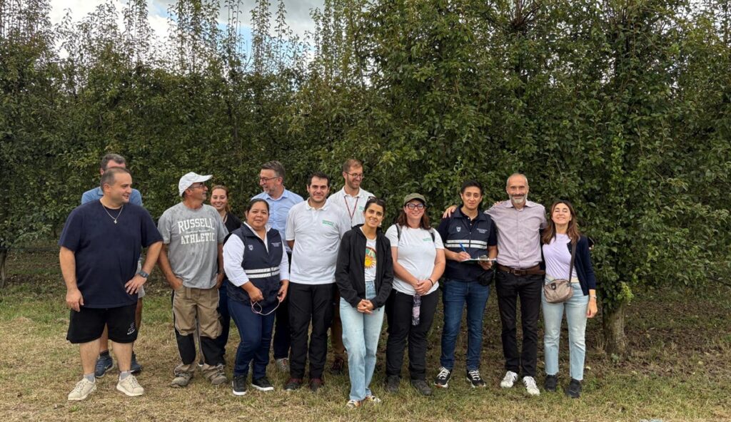 Exportación de peras italianas a Ecuador avanza tras inspección de autoridades ecuatorianas