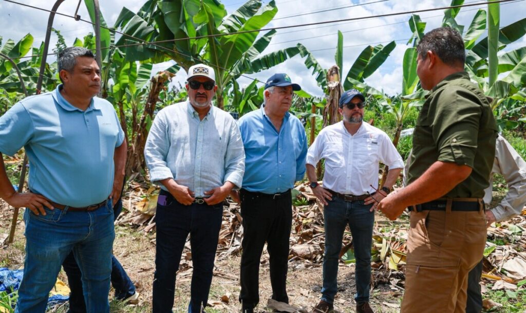 Chiquita retomará exportaciones de banano desde Bocas del Toro en diciembre